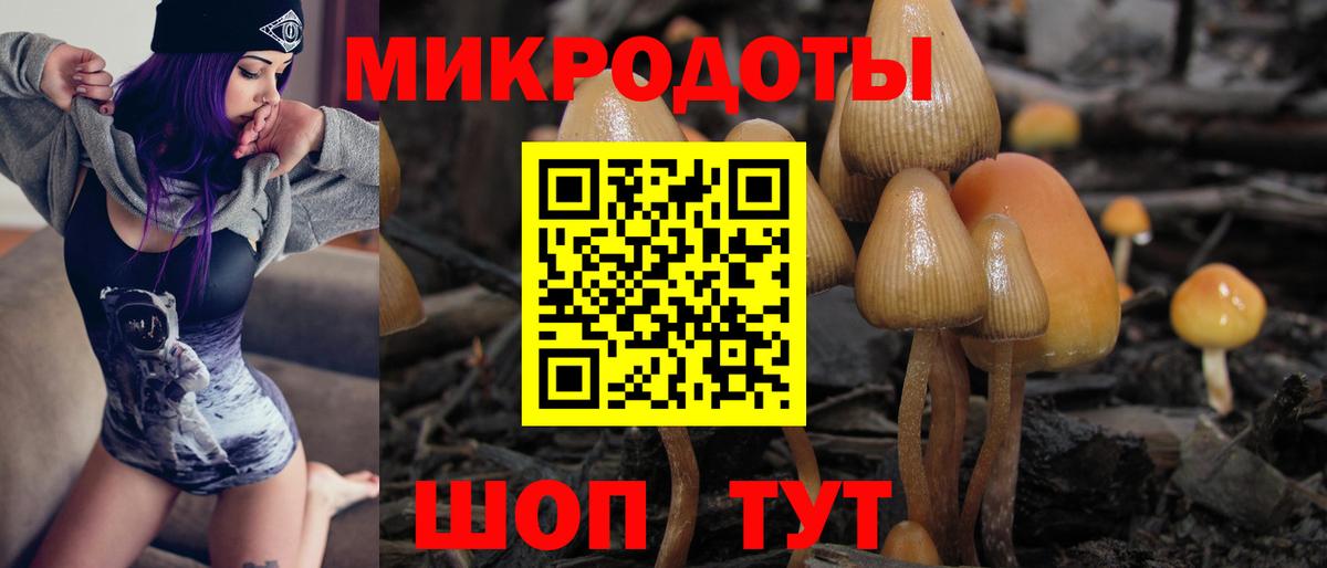 Псилоцибиновые грибы Magic Shrooms Касимов
